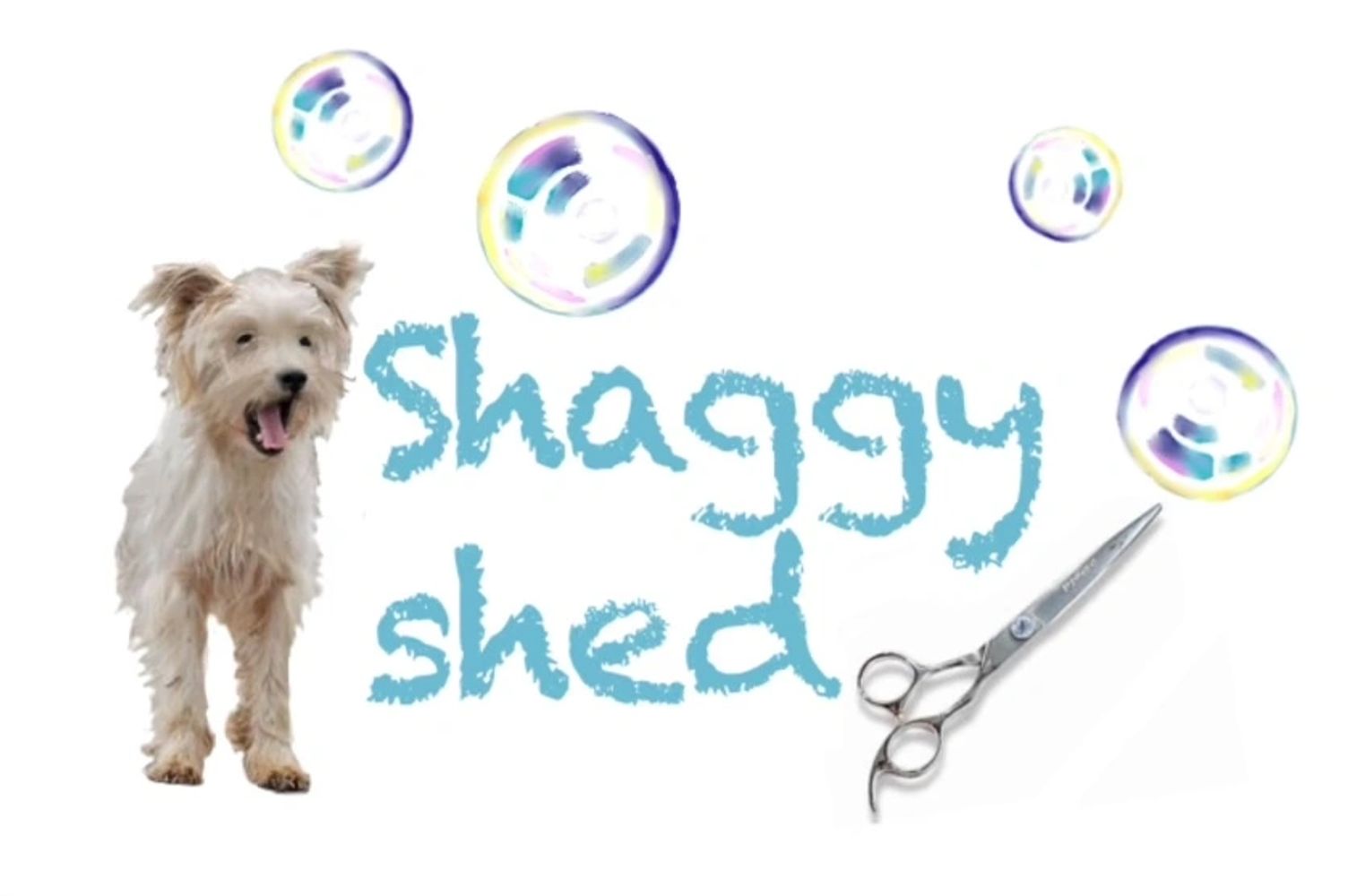 Quality Pet Grooming Services for Dogs and Cats